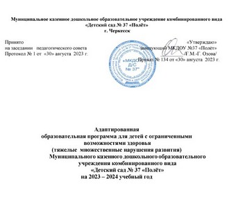Адаптированная образовательная программа для детей с ограниченными возможностями здоровья.jpg
