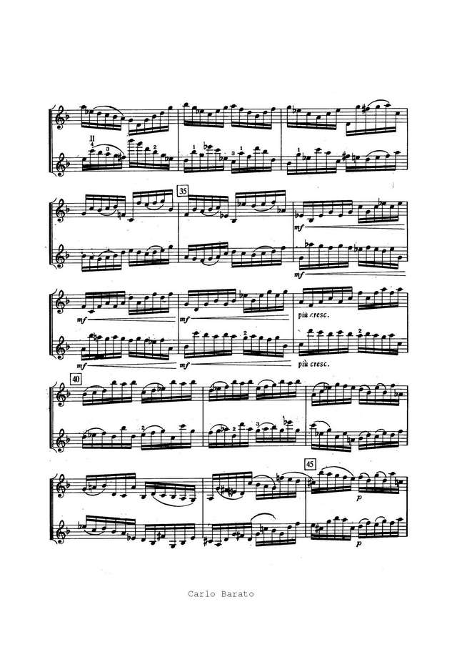 Бах-Брамс. Престо для двух скрипок_Страница_03.jpg