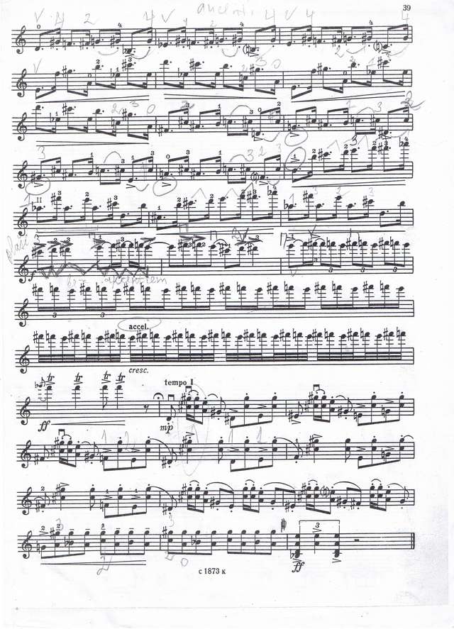 Баркаускас В. Партита для скрипки соло_Страница_2.jpg