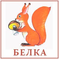 Белка..jpg