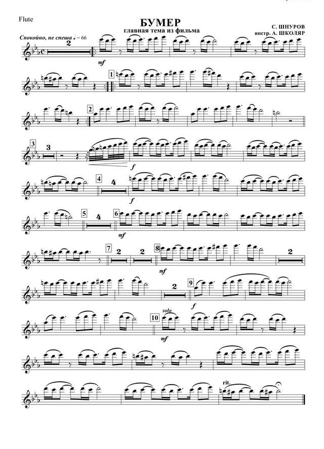 Бумер. Главная тема из одноименного кинофильма. Шнуров С (партии)_01.jpg