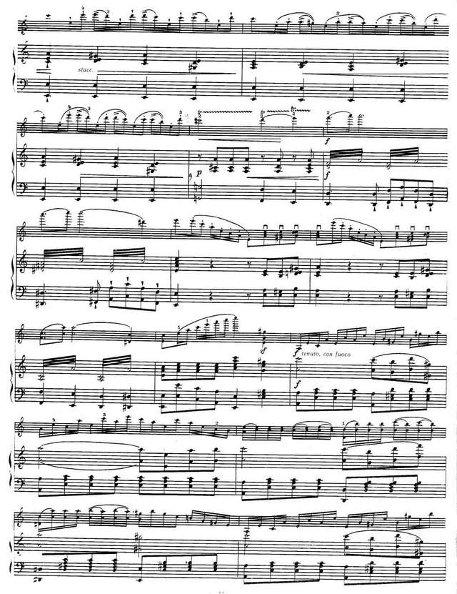 Данкля Ш. Концертное соло №3_Страница_5.jpg