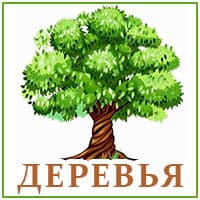 Деревья.jpg