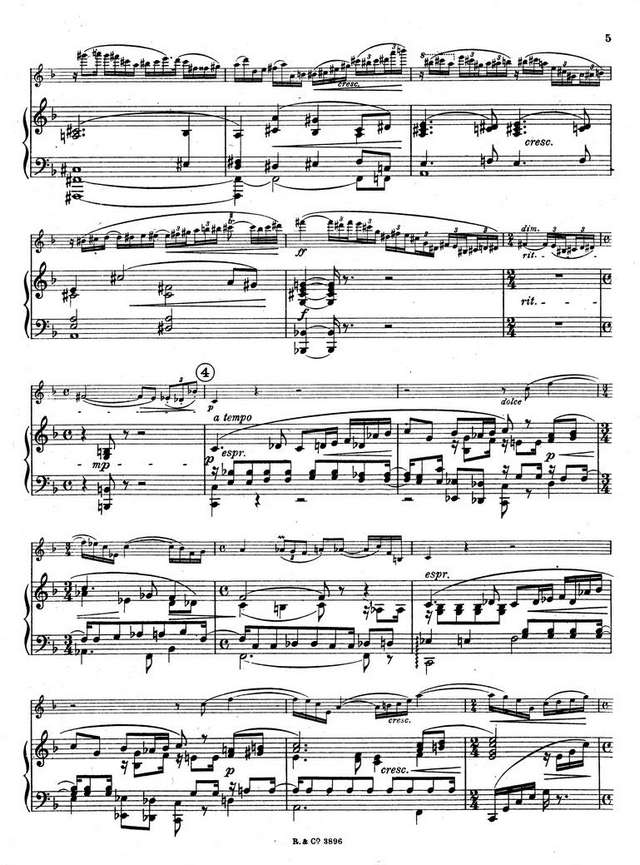 Донаньи Э. Концерт №1 для скрипки op.27_Страница_06.jpg