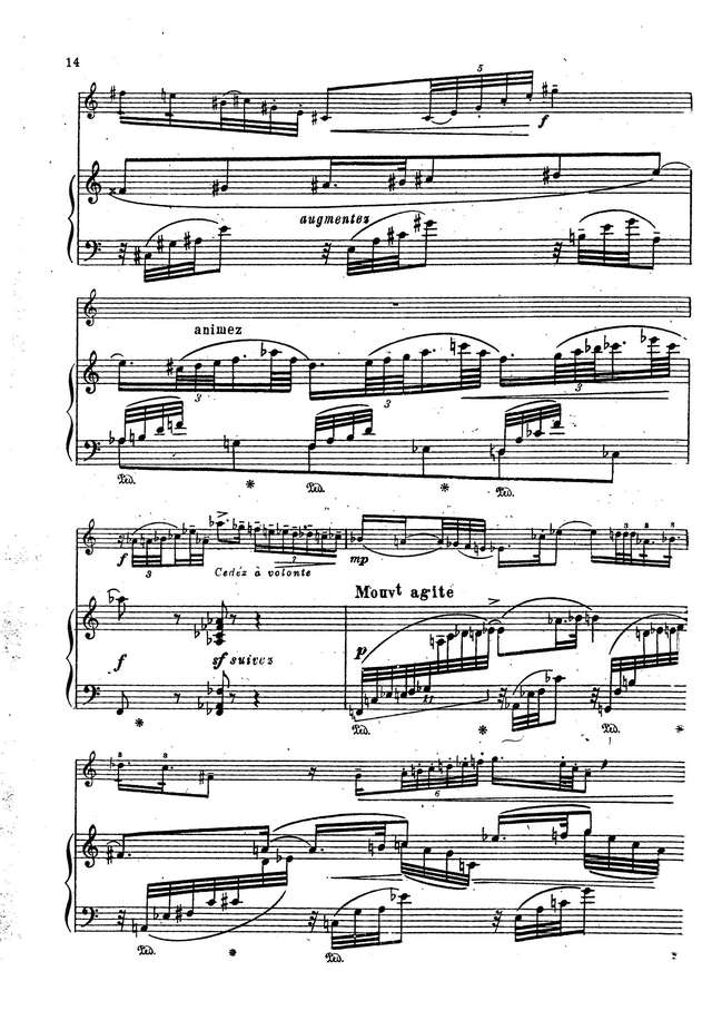 Энеску Дж. Легенда_Страница_05.jpg