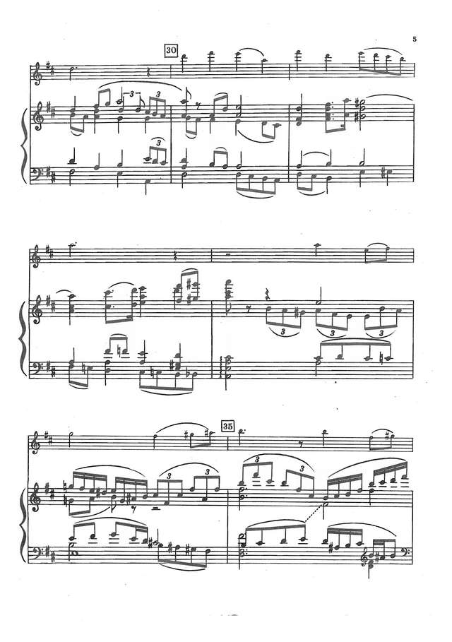 Глушков П. Концерт для скрипки с оркестром (На основе украинских народных песен)_Страница_04.jpg