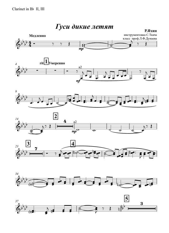 Гуси дикие летят. Яхин Р (партии)_01.jpg