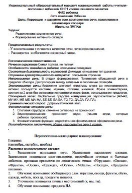 Индивидуальный образовательный маршрут ОНР I уровень. Шаблон.jpg