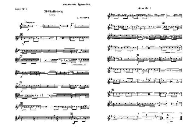 Хризантемы. Фиготин Б (партии)_01.jpg