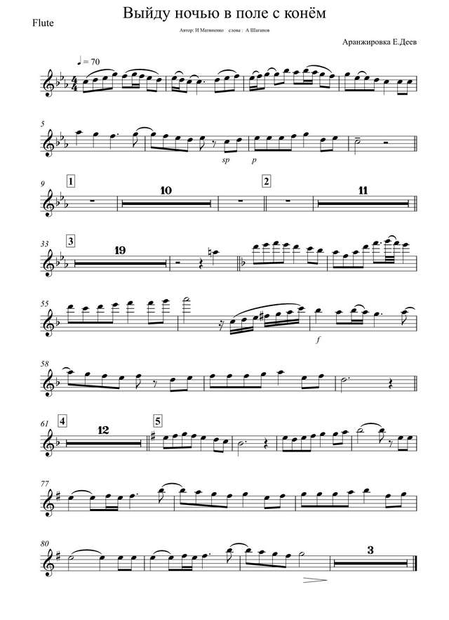 Конь. Из репертуара группы «Любэ». Матвиенко И., Шаганов А (партии)_01.jpg