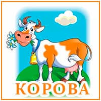 Корова..jpg