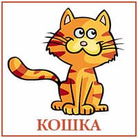 Кошка..jpg