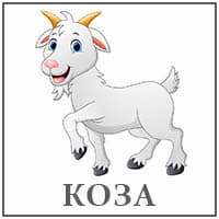 Коза..jpg