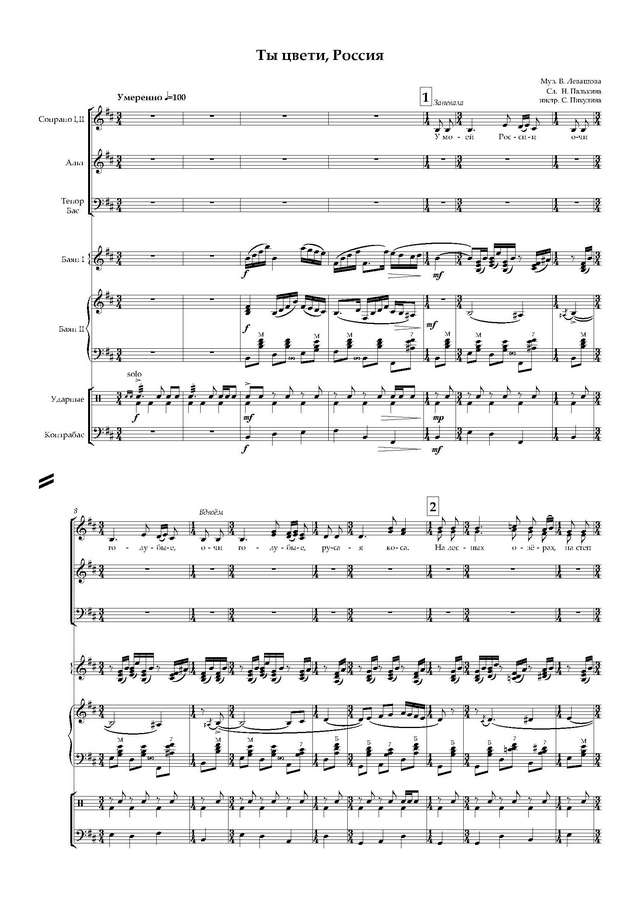 Левашов В. -Палькин Н. Ты цвети, Россия - Партитура и партии_Страница_01.jpg