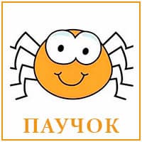 Паучок.jpg