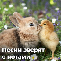 песни зверят..jpg
