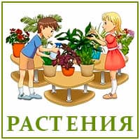 Растения..jpg
