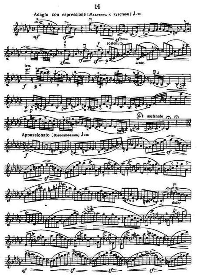 Роде П. 24 каприса_Страница_03.jpg