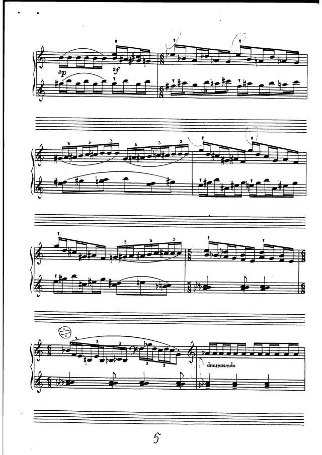 Семёнов В. Каприс №1_Страница_05.jpg