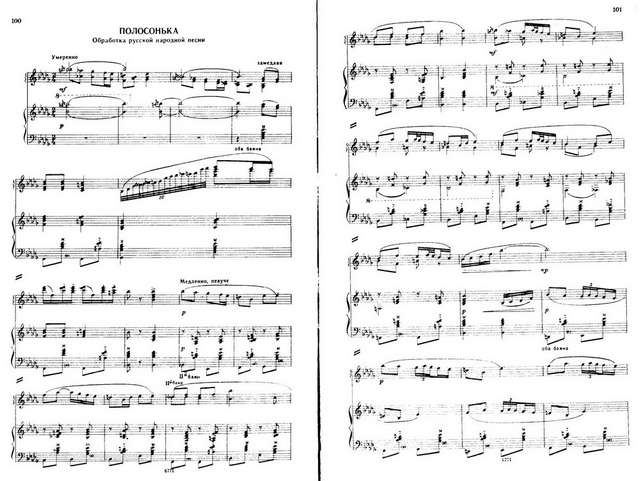 Шалаев А. Полосонька_Страница_1.jpg