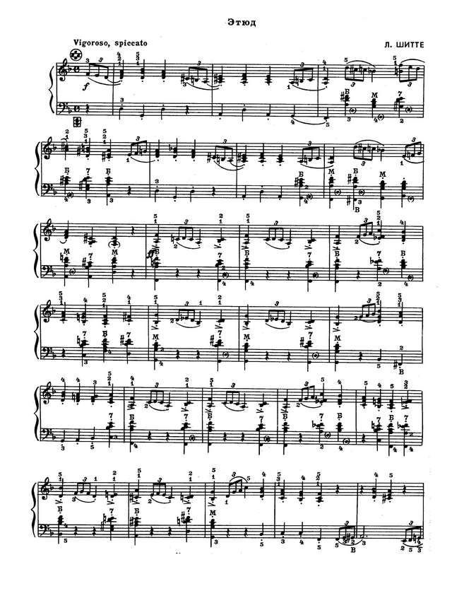 Шитте. Л.  Этюд Ре-минор, Vigoroso, spiccato_Страница_1.jpg