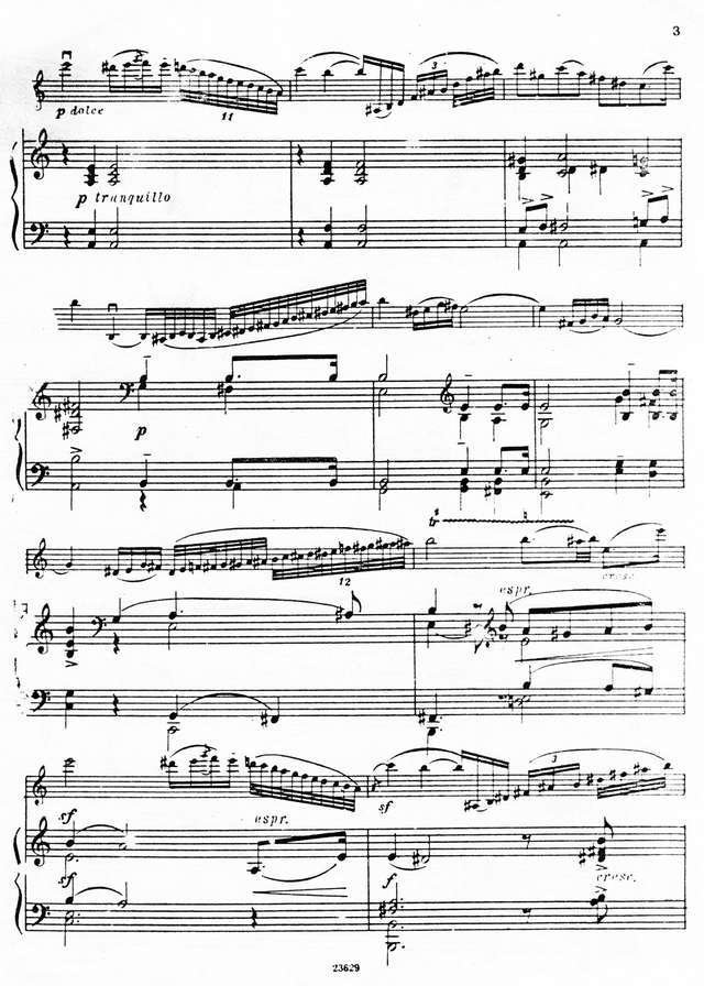 Шуман Р. Фантазия для скрипки и фортепиано_Страница_03.jpg