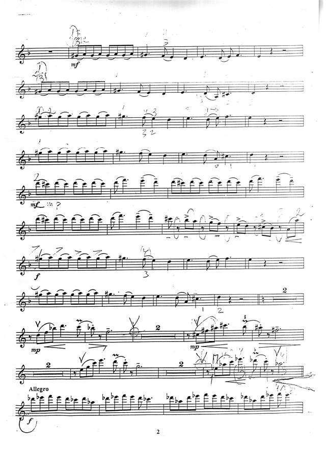 Скорик М. Карпатская рапсодия_Страница_14.jpg