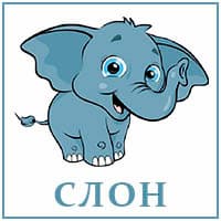 Слон..jpg