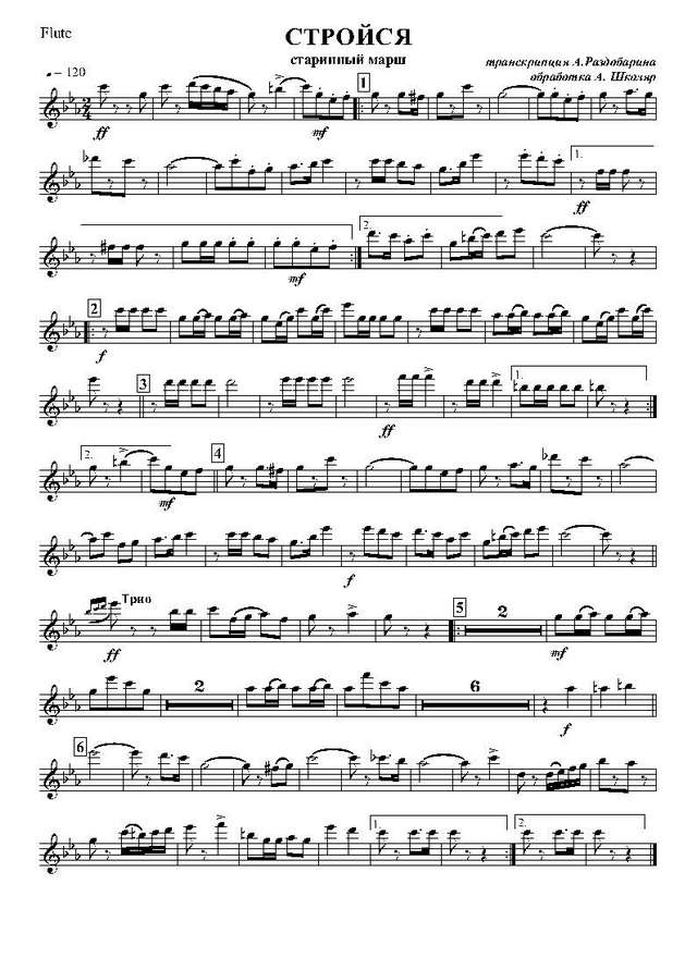 Стройся. Старинный марш. Транскр. А. Раздобарина (партии) (2)_Страница_01.jpg