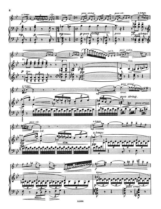 Сук Й. Фантазия для скрипки и фортепиано op.24_Страница_08.jpg