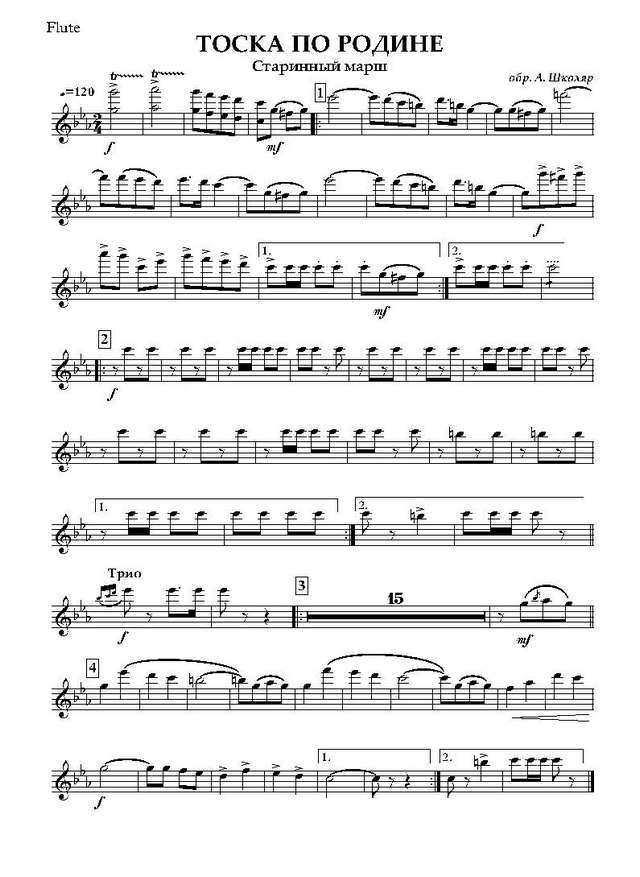 Тоска по родине. Марш (партии)_Страница_01.jpg