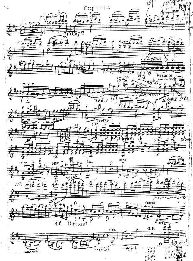 Цинцадзе С. Сачидао_Страница_8.jpg