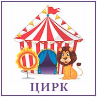 Цирк.jpg