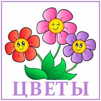цветы..jpg