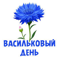 Васильковый день..jpg