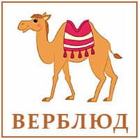 Верблюд. (1).jpg