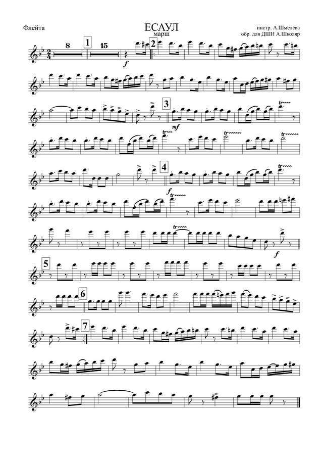 Есаул. Марш. О. Газманов. Инстр. А. Шмелева, перелож. для детского оркестра А. Школяра (партии...jpg