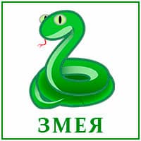 Змея..jpg