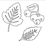 Снегири и рябина. Вытынанки_10.jpg