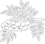 Снегири и рябина. Вытынанки_17.jpg