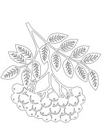 Снегири и рябина. Вытынанки_19.jpg