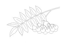 Снегири и рябина. Вытынанки_22.jpg