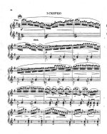 Кокорин А. Маленький романтический триптих_Страница_07.jpg