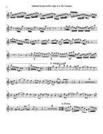 Альбинони Т. 12 сонат для скрипки_Страница_002.jpg