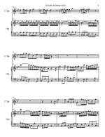 Бах И.С. Jesu, der Du meine Seele_Страница_06.jpg