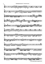 Бах И.С. Бранденбургский концерт №2_Страница_2.jpg