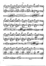 Бара Ж. Фантазия_Страница_07.jpg