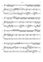 Белштедт Г. Неаполитанская канцона с вариациями_Страница_09.jpg