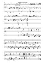 Арбан Ж. Вариации на темы из оперы Норма_Страница_2.jpg