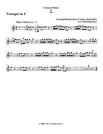 Вивиани Дж. Соната №1_Страница_05.jpg